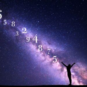 Numerology Expert