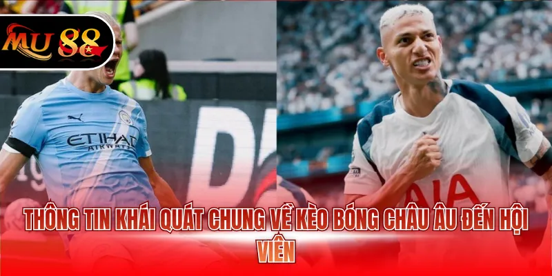 Thông tin khái quát chung về kèo bóng Châu Âu đến hội viên